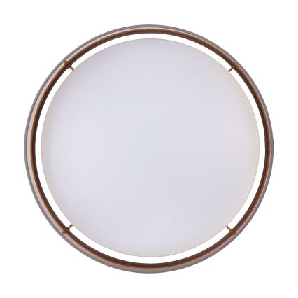 Eglo - LED plafonsko svetlo LED/24W/230V