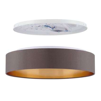 Eglo - LED plafonsko svetlo LED/24W/230V