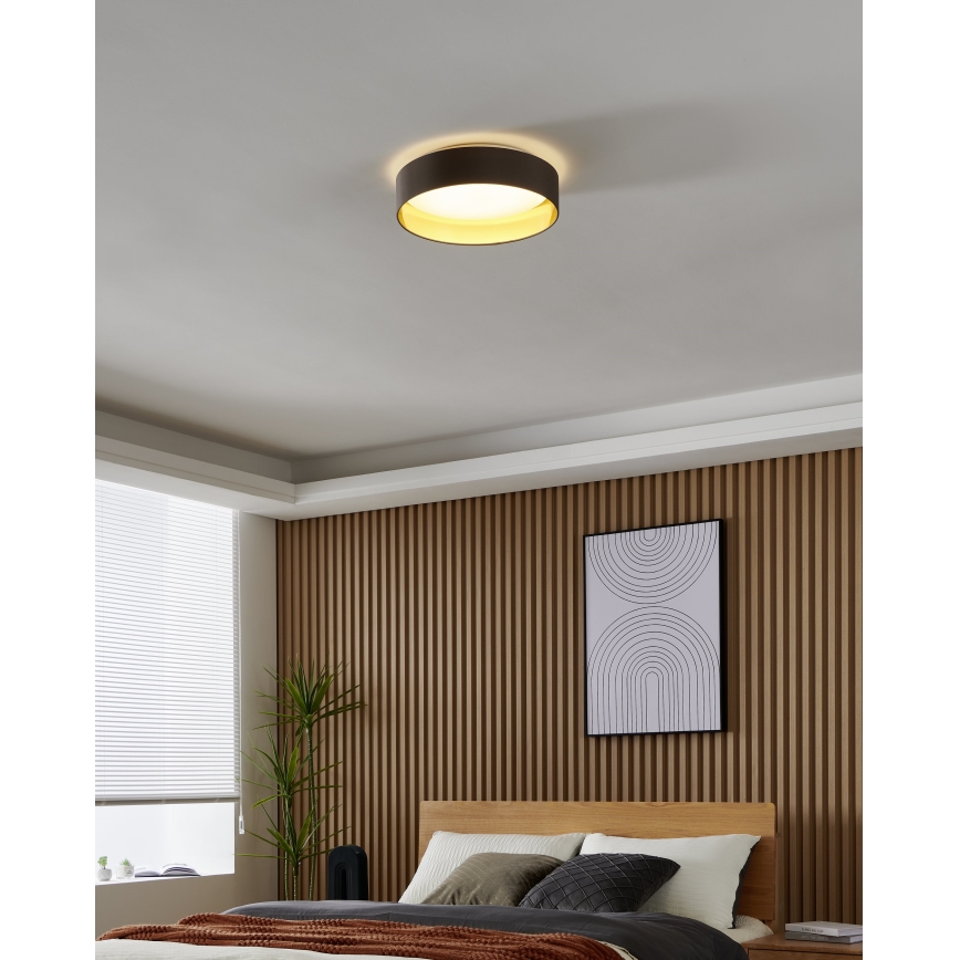 Eglo - LED plafonsko svetlo LED/24W/230V