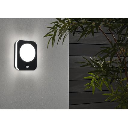 Eglo - LED spoljna zidna svetiljka sa senzorom LED/9W/230V IP44