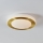 Eglo - LED kupatilsko plafonsko svetlo LED/10,8W/230V IP44