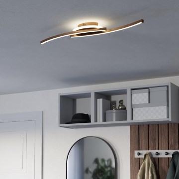 Eglo - LED plafonska svetiljka 12 W/230 V, 4000 K, bakarna