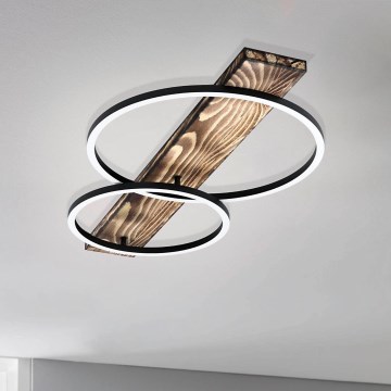 Eglo - LED plafonsko svetlo 2xLED/12W/230V