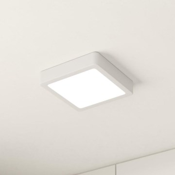 Eglo - LED plafonsko svetlo LED/10,5W/230V 16x16 cm