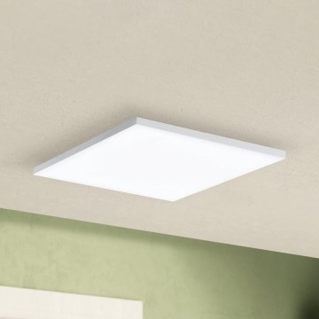 Eglo - LED plafonsko svetlo LED/10,8W/230V