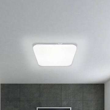 Eglo - LED plafonsko svetlo LED/11,5W/230V