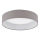 Eglo - LED plafonsko svetlo LED/12W/230V