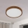 Eglo - LED plafonsko svetlo LED/14,6W/230V
