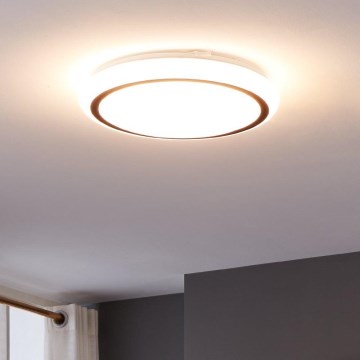 Eglo - LED plafonsko svetlo LED/14,6W/230V