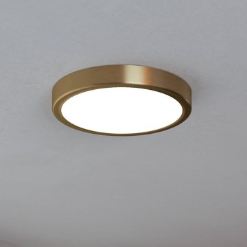 Eglo - LED plafonsko svetlo LED/17W/230V prečnik 21 cm prečnik 21 cm