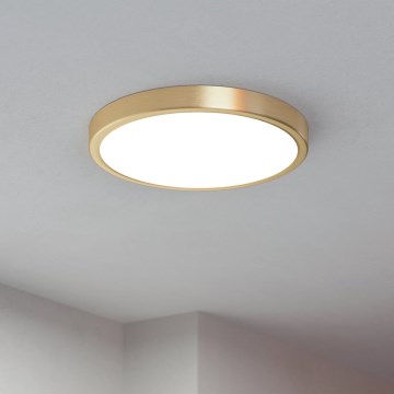 Eglo - LED plafonsko svetlo LED/20,5W/230V prečnik 28,5 cm prečnik 28,5 cm
