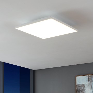 Eglo - LED plafonsko svetlo LED/21W/230V