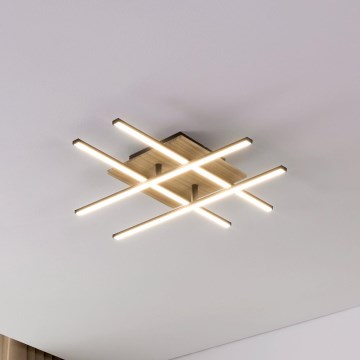 Eglo - LED plafonsko svetlo LED/21W/230V