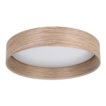 Eglo - LED plafonsko svetlo LED/24W/230V