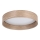 Eglo - LED plafonsko svetlo LED/24W/230V