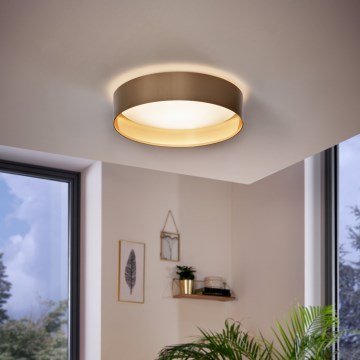 Eglo - LED plafonsko svetlo LED/24W/230V
