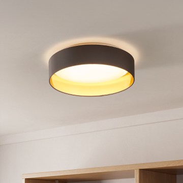 Eglo - LED plafonsko svetlo LED/24W/230V