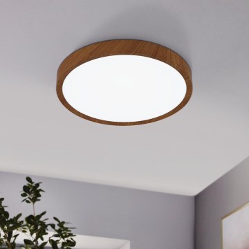 Eglo - LED plafonsko svetlo LED/33,5W/230V