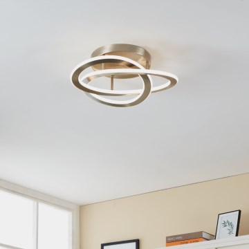 Eglo - LED plafonsko svetlo LED/35W/230V