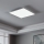 Eglo - LED plafonsko svetlo LED/40W/230V