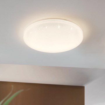 Eglo - LED plafonsko svetlo LED/49,5W/230V