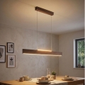 Eglo - LED prigušiva luster na sajli LED/21W/230V + LED/8,4W orah
