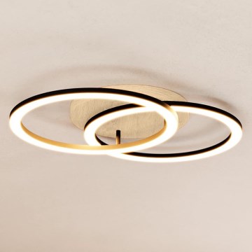 Eglo - LED prigušiva nadgradni plafonski luster 2xLED/16W/230V 2700-6500K