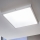 Eglo - LED prigušiva plafonska svetiljka LED/25W/230V 50x50 cm