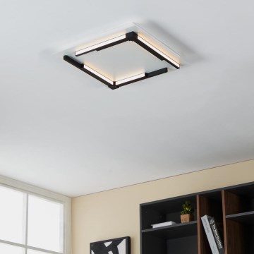 Eglo - LED prigušiva plafonska svetiljka LED/25W/230V