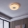Eglo - LED prigušiva plafonska svetiljka LED/44,8W/230V 2700-6500K ZigBee
