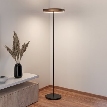 Eglo - LED prigušiva stojeća lampa sa senzorom pokreta 2xLED/19W/230V 2200-6500K braon