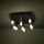 Eglo - LED prigušiva stropna svetiljka 9xLED/3,1W/230V 3000K antracit/zlatna