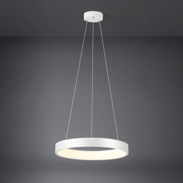 Eglo - LED prigušiva svetiljka na sajli LED/34W/230V