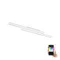 Eglo - LED RGB prigušiva plafonska svetiljka SALITERAS-C 2xLED/10W/230V