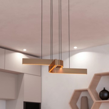 Eglo - LED RGBW prigušiva luster na sajli 2xLED/18W/230V bakarna/crna