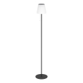 Eglo - LED solarna punjiva stojeća lampa LED/2,3W/3,7V 3000/4000/6500K 1800 mAh IP44 crna