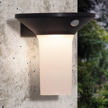 Eglo - LED solarno spoljašnje svetlo sa senzorom 6xLED/0,03W/3,7V IP44