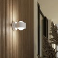 Eglo - LED spoljašnje zidno svetlo 2xLED/2W/230V IP44