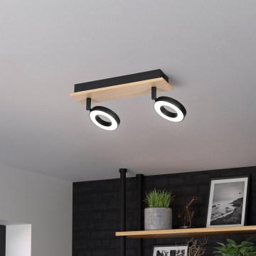 Eglo - LED spot svetiljka 2xLED/4,2W/230V crna/braon