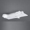 Eglo - LED spot svetiljka 3xLED/5W/230V/12V
