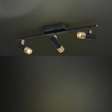 Eglo - LED spot svetiljka 3xLED/5W/230V/12V