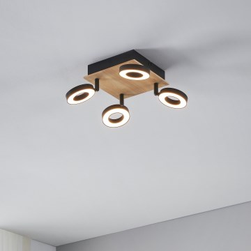 Eglo - LED spot svetiljka 4xLED/4,2W/230V crna/smeđa