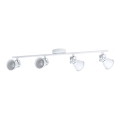 Eglo - LED spot svetlo 4xLED/3,3W/230V