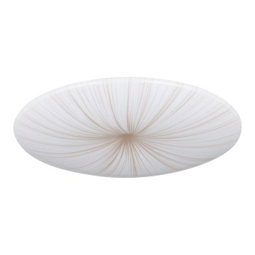 Eglo - LED stropno svetlo LED/30,8W/230V