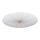 Eglo - LED stropno svetlo LED/30,8W/230V
