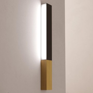 Eglo - LED zidno svetlo LED/12W/230V