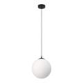 Eglo - Luster na sajli 1xE27/40W/230V