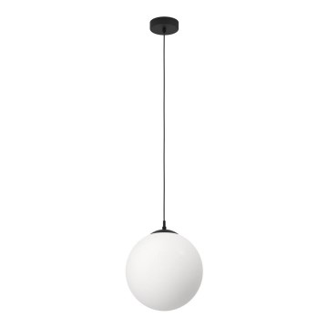 Eglo - Luster na sajli 1xE27/40W/230V