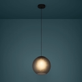 Eglo - Luster na sajli 1xE27/40W/230V zadimljeno