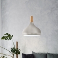 Eglo - Luster na sajli 1xE27/60W/230V prečnika 28 cm srebrna